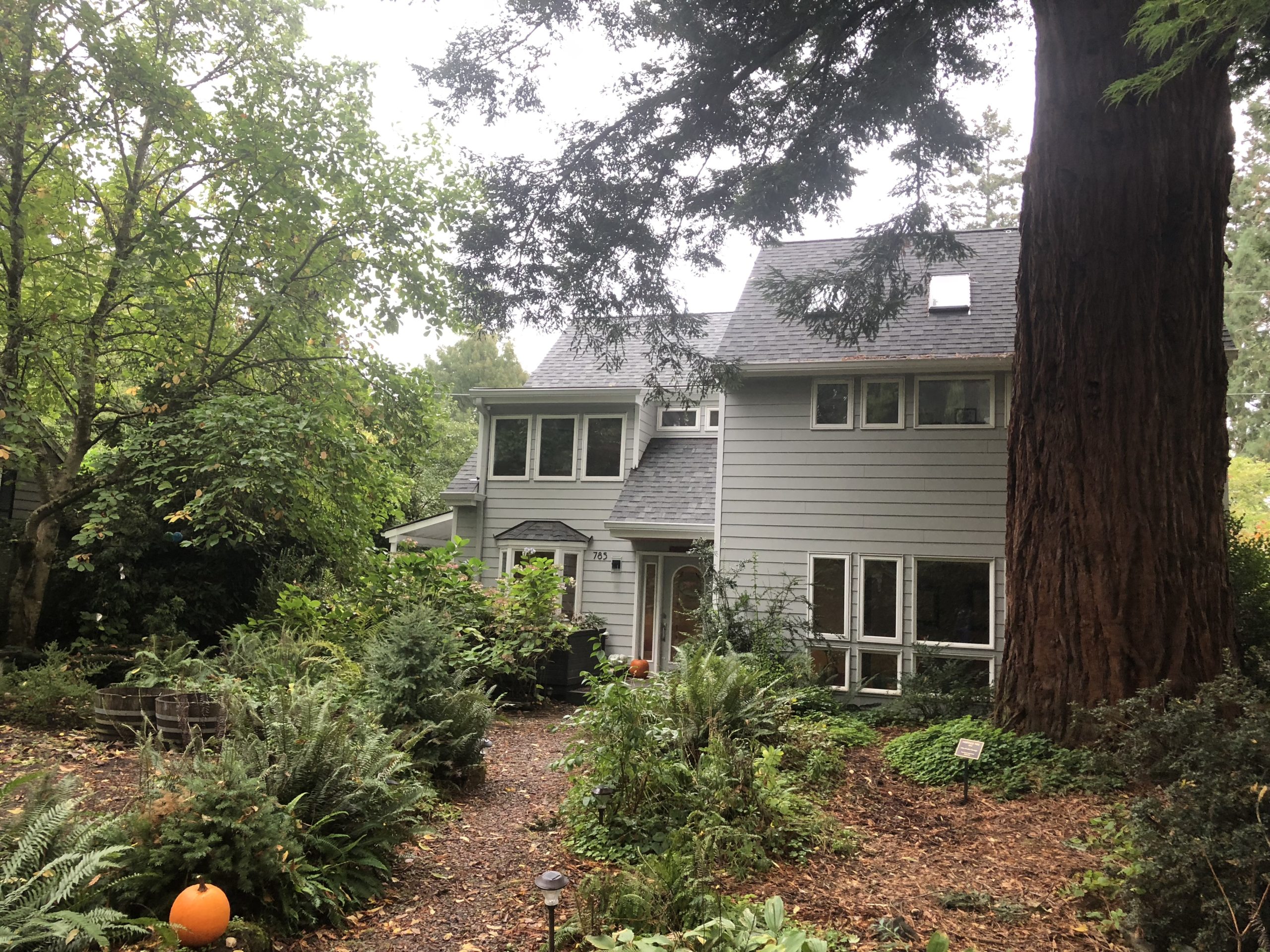 A Lake Oswego home in our "urban forest" A Lake Oswego home in our "urban forest"
