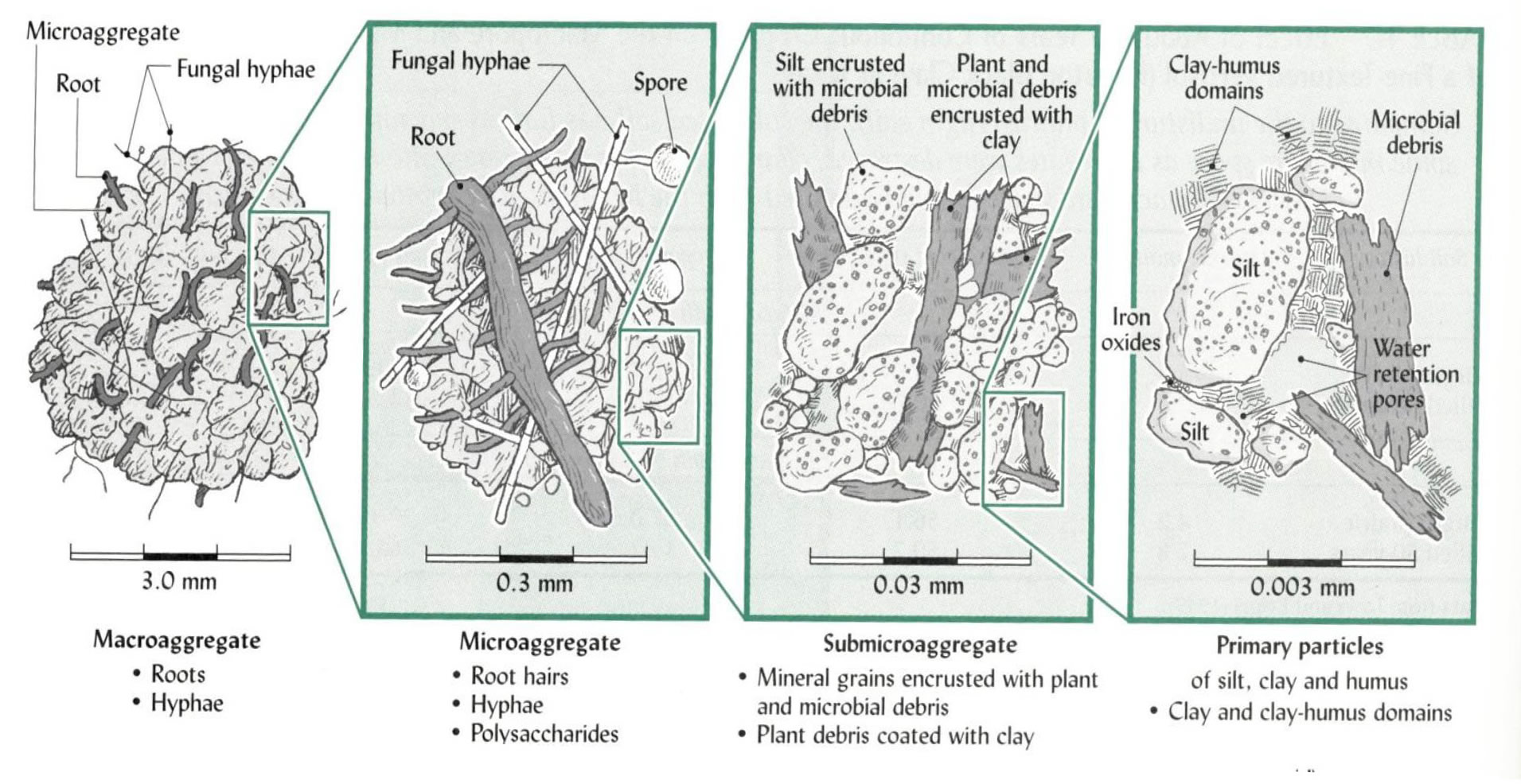 Microaggregates Microaggregates