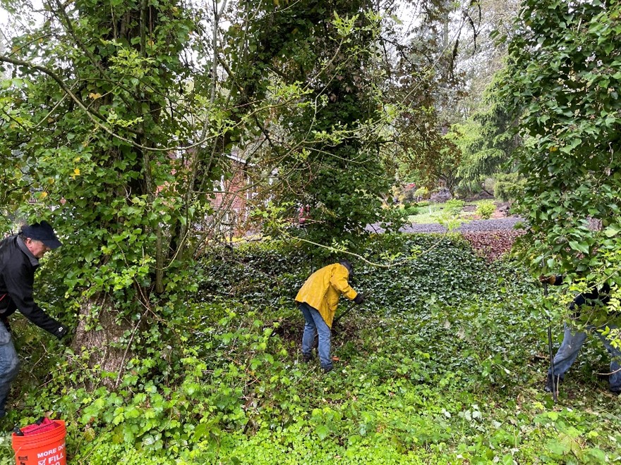 Volunteers work to remove tree ivy for Arbor Day 2021 Volunteers work to remove tree ivy for Arbor Day 2021