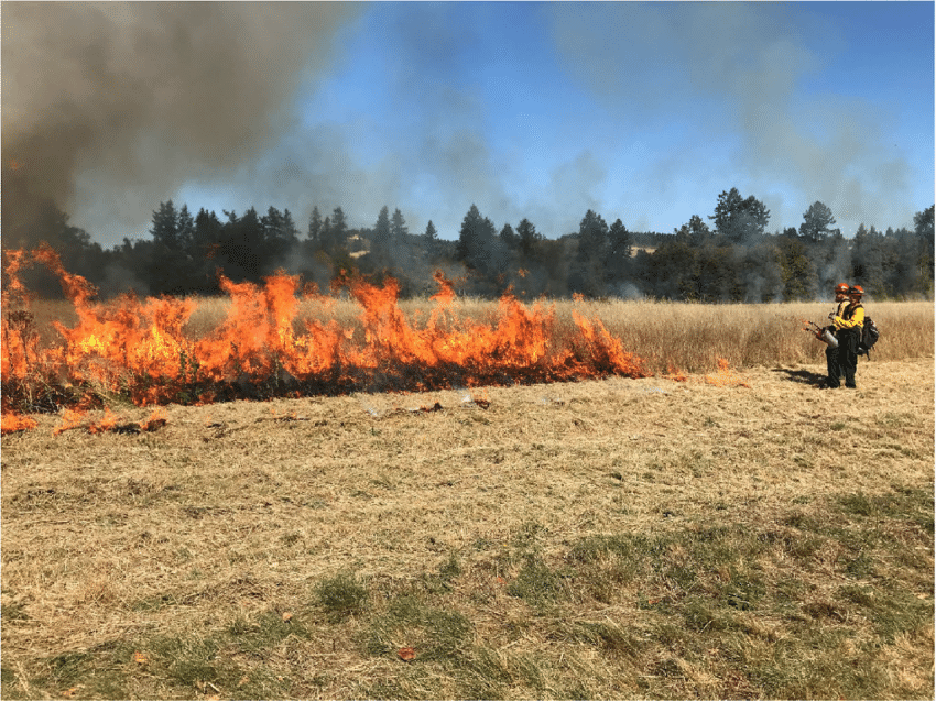 controlled burns