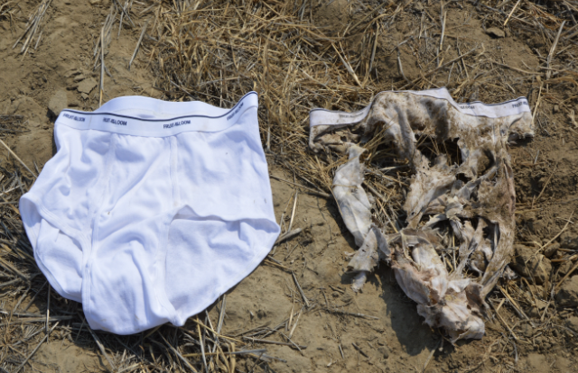 !cid_ii_m7dvbl150 Cotton undies, before and after the challenge